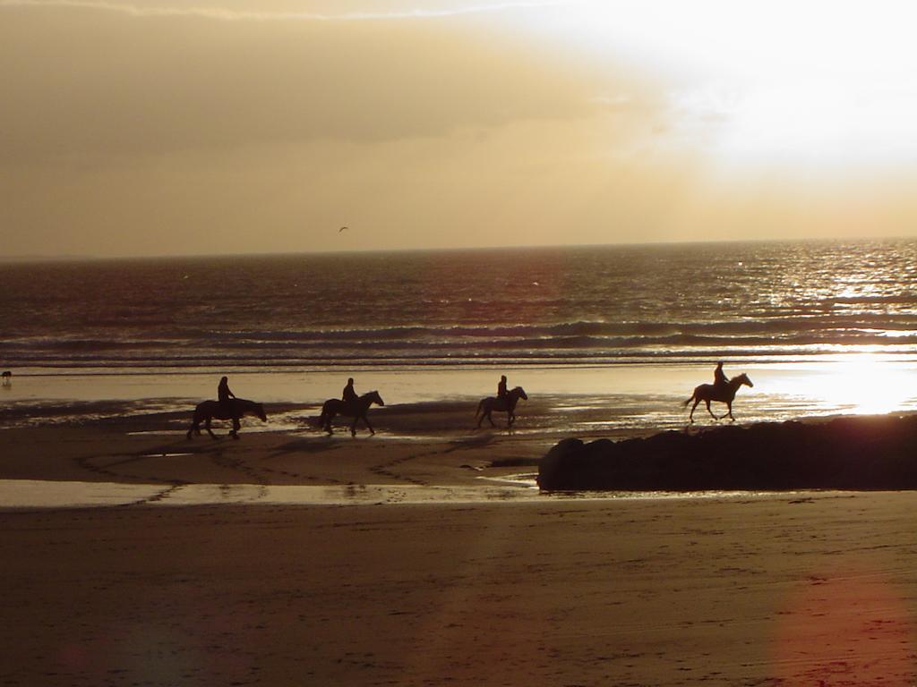 Bryn Mor Beach Hotel Llandwrog Kültér fotó